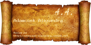 Adamcsek Alexandra névjegykártya